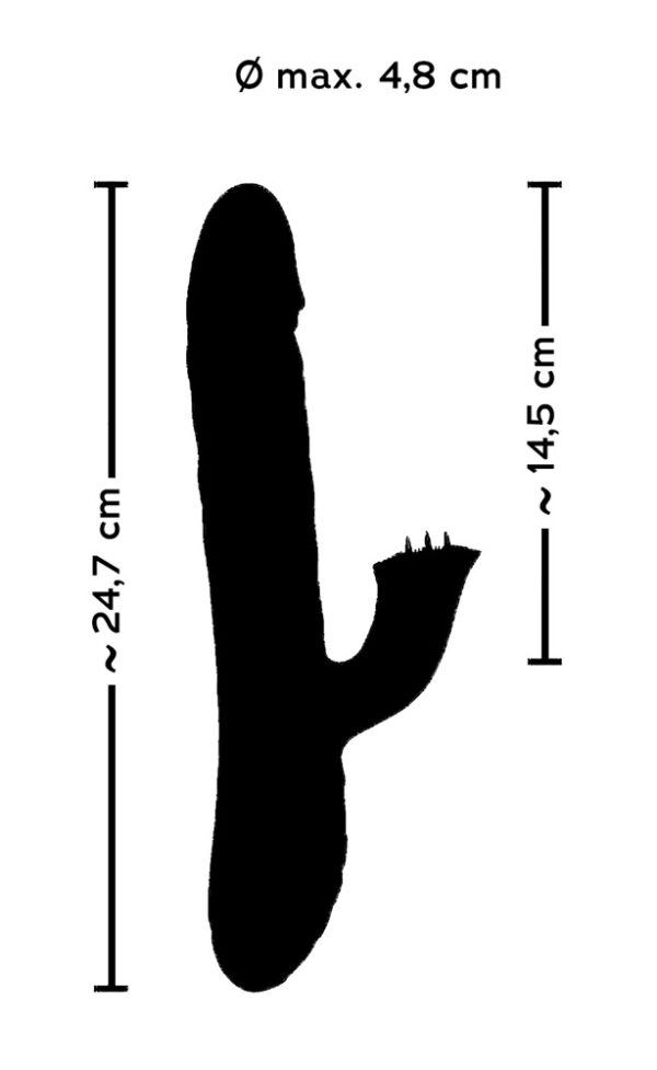 Image du produit